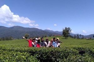 Galeri-trans-holiday-8